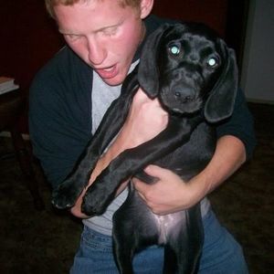 Meet your Posher, Stewart